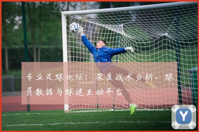 专业足球论坛：深度战术分析、球员数据与球迷互动平台