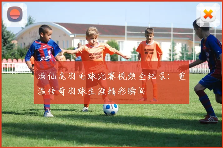 汤仙虎羽毛球比赛视频全纪录：重温传奇羽球生涯精彩瞬间